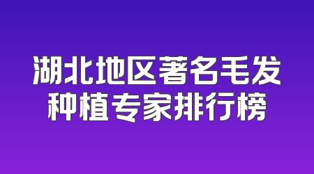 湖北地区著名毛发种植专家排行榜