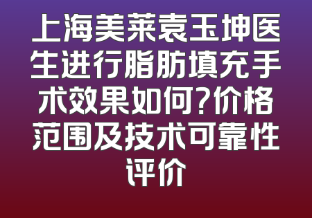 上海美莱袁玉坤医生进行脂肪填充手术效果如何？价格范围及技术可靠性评价