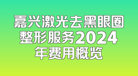 嘉兴激光去黑眼圈整形服务2024年费用概览