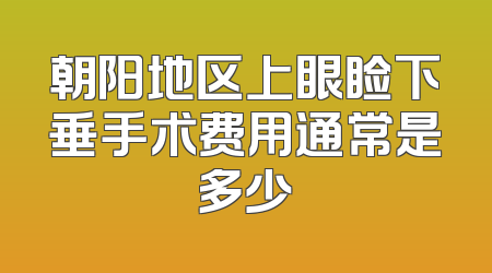 朝阳地区上眼睑下垂手术费用通常是多少