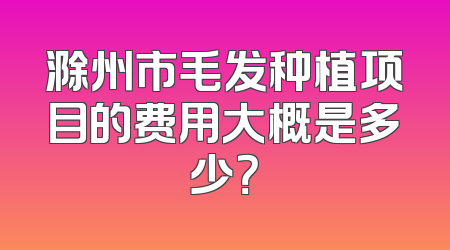 滁州市毛发种植项目的费用大概是多少？