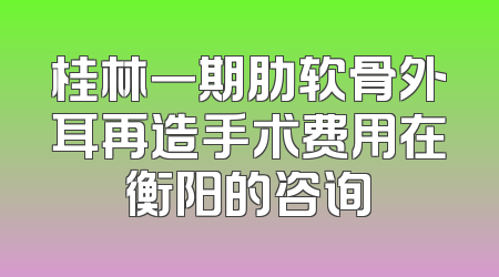 桂林一期肋软骨外耳再造手术费用在衡阳的咨询