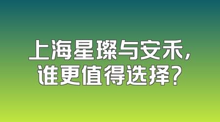上海星璨与安禾，谁更值得选择？