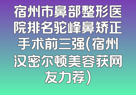 宿州市鼻部整形医院排名驼峰鼻矫正手术前三强（宿州汉密尔顿美容获网友力荐）