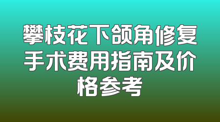 攀枝花下颌角修复手术费用指南及价格参考