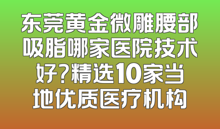 东莞黄金微雕腰部吸脂哪家医院技术好？精选10家当地优质医疗机构