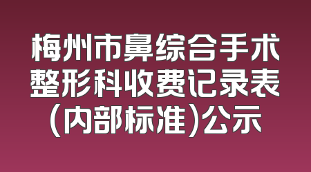 梅州市鼻综合手术整形科收费记录表(内部标准)公示