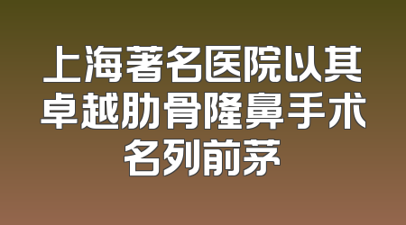 上海著名医院以其卓越肋骨隆鼻手术名列前茅