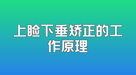 上睑下垂矫正的工作原理