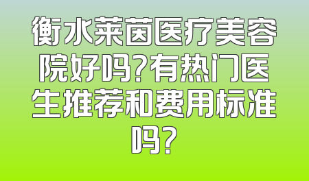 衡水莱茵医疗美容院好吗？有热门医生推荐和费用标准吗？