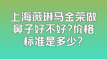 上海薇琳马金荣做鼻子好不好？价格标准是多少？