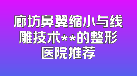 廊坊鼻翼缩小与线雕技术**的整形医院推荐