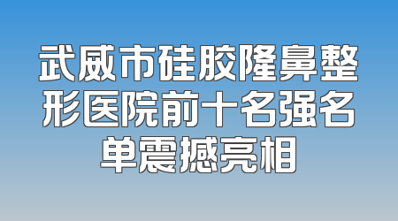 武威市硅胶隆鼻整形医院前十名强名单震撼亮相