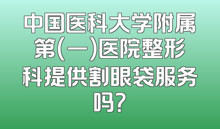 中国医科大学附属第（一）医院整形科提供割眼袋服务吗？