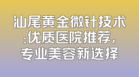 汕尾黄金微针技术：优质医院推荐，专业美容新选择