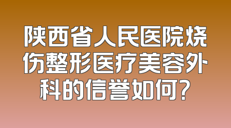 陕西省人民医院烧伤整形医疗美容外科的信誉如何？