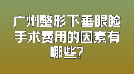 广州整形下垂眼睑手术费用的因素有哪些？