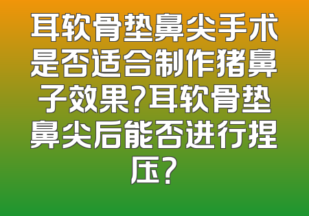 耳软骨垫鼻尖手术是否适合制作猪鼻子效果？耳软骨垫鼻尖后能否进行捏压？