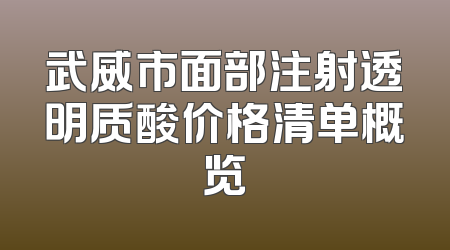 武威市面部注射透明质酸价格清单概览
