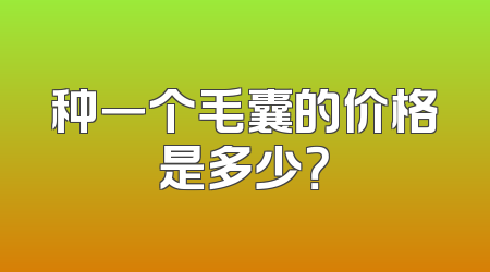 种一个毛囊的价格是多少？
