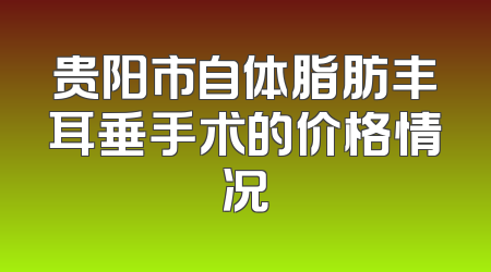 贵阳市自体脂肪丰耳垂手术的价格情况