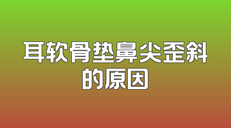 耳软骨垫鼻尖歪斜的原因