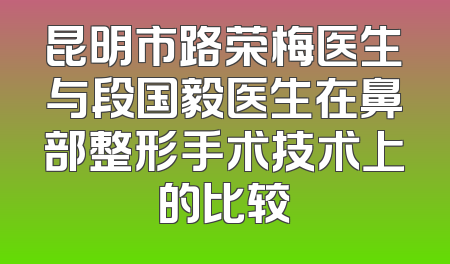 昆明市路荣梅医生与段国毅医生在鼻部整形手术技术上的比较