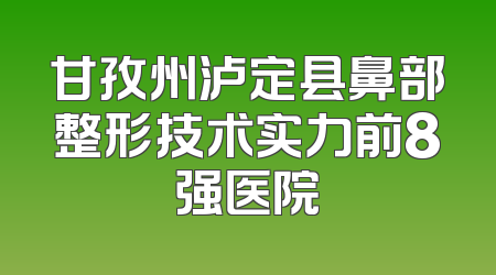 甘孜州泸定县鼻部整形技术实力前8强医院