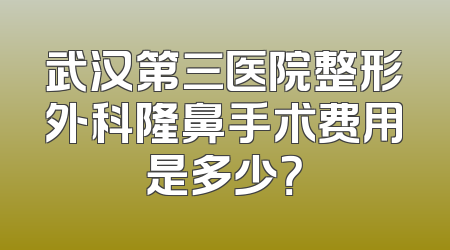武汉第三医院整形外科隆鼻手术费用是多少？