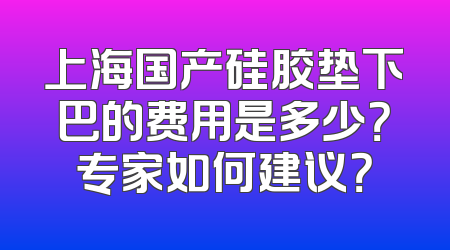 上海国产硅胶垫下巴的费用是多少？专家如何建议？