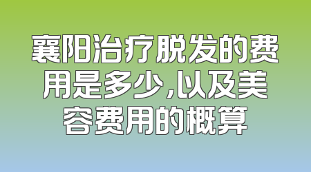 襄阳治疗脱发的费用是多少，以及美容费用的概算