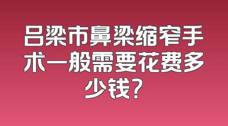 吕梁市鼻梁缩窄手术一般需要花费多少钱？