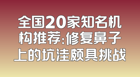 全国20家知名机构推荐：修复鼻子上的坑洼颇具挑战