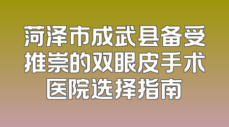 菏泽市成武县备受推崇的双眼皮手术医院选择指南
