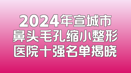 2024年宣城市鼻头毛孔缩小整形医院十强名单揭晓