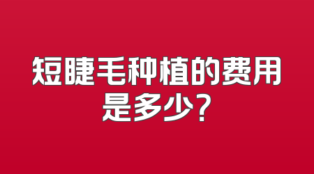短睫毛种植的费用是多少？