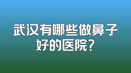 武汉有哪些做鼻子好的医院？