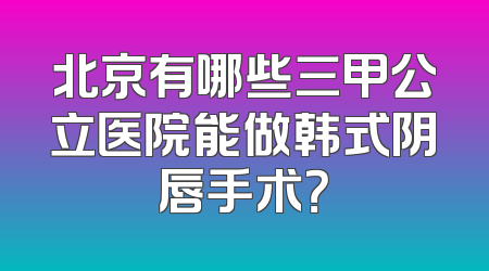 北京有哪些三甲公立医院能做韩式阴唇手术？