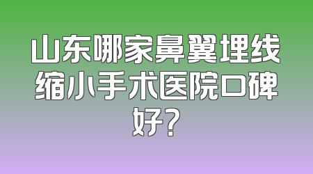 山东哪家鼻翼埋线缩小手术医院口碑好？