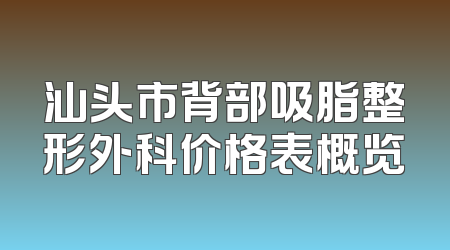 汕头市背部吸脂整形外科价格表概览