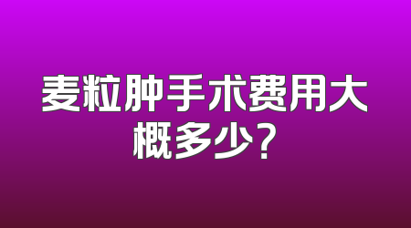 麦粒肿手术费用大概多少？