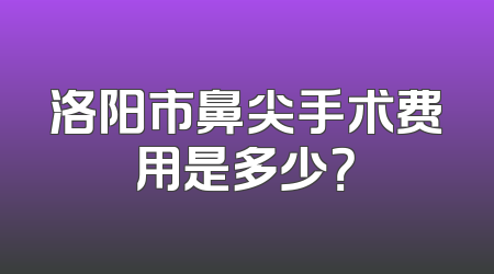 洛阳市鼻尖手术费用是多少？