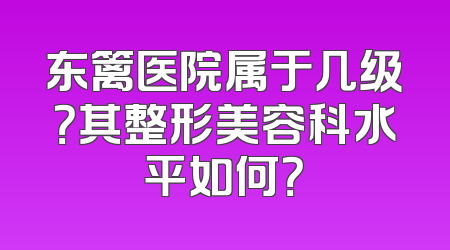 东篱医院属于几级？其整形美容科水平如何？