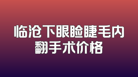 临沧下眼睑睫毛内翻手术价格