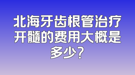 北海牙齿根管治疗开髓的费用大概是多少？