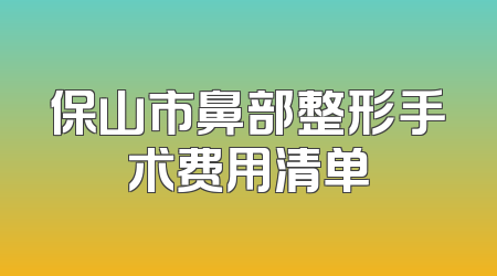 保山市鼻部整形手术费用清单