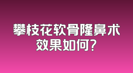 攀枝花软骨隆鼻术效果如何？