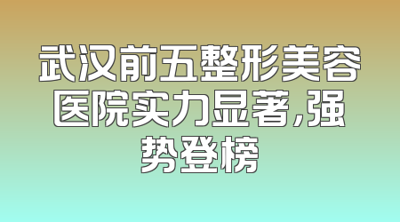 武汉前五整形美容医院实力显著，强势登榜