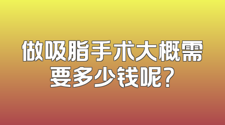 做吸脂手术大概需要多少钱呢？