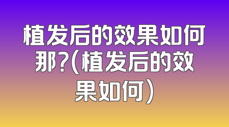 植发后的效果如何那？(植发后的效果如何)